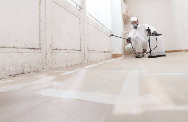 24/7 Emergency Attic Mold Removal experts in Darien, IL