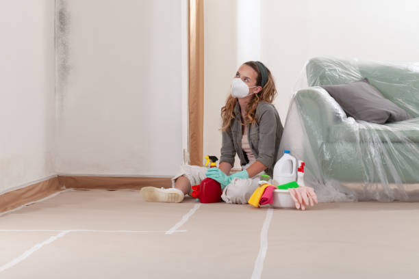 Reliable Attic Mold Removal contractor in Darien, IL by WQB Mold Removal